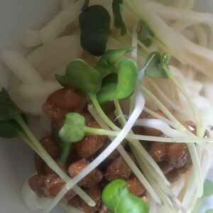 のど越し最高♪　「ぶっかけ納豆うどん」